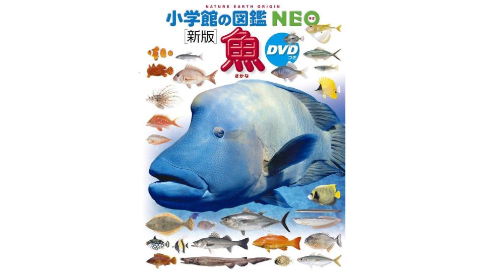 小学館 写真で見る魚図鑑 小学館の図鑑NEO 魚 うみのさかなクイズつき-