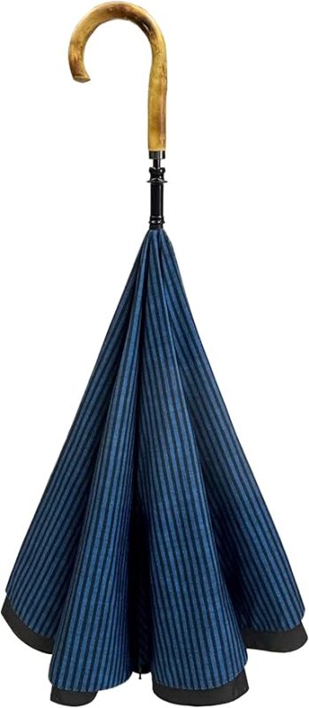 CARRY saKASA Classicモデル