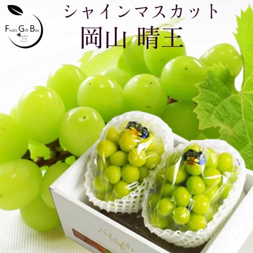 岡山果物工房 シャインマスカット 晴王