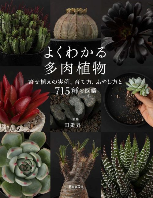 日本文芸社 よくわかる多肉植物 寄せ植えの実例、育て方、ふやし方と715種の図鑑