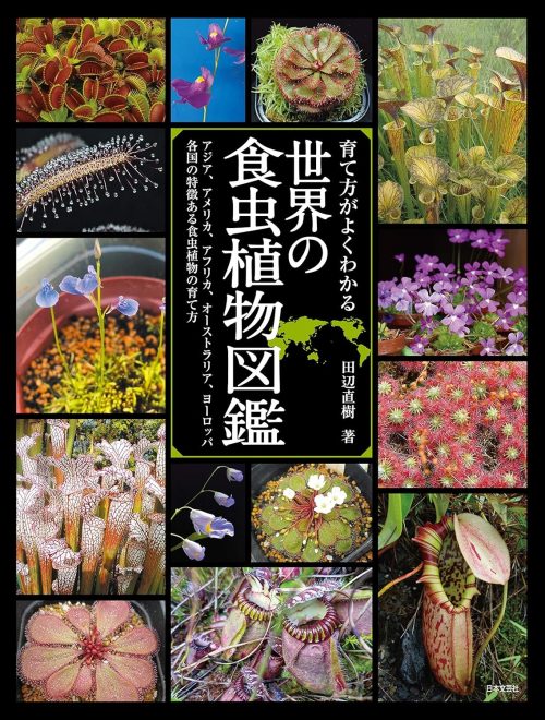 日本文芸社 育て方がよくわかる 世界の食虫植物図鑑 アジア、アメリカ、アフリカ、オーストラリア、ヨーロッパ各国の特徴ある食虫植物の育て方