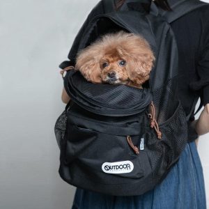 犬用リュックのおすすめ10選。おしゃれなデザインのモデルもご紹介