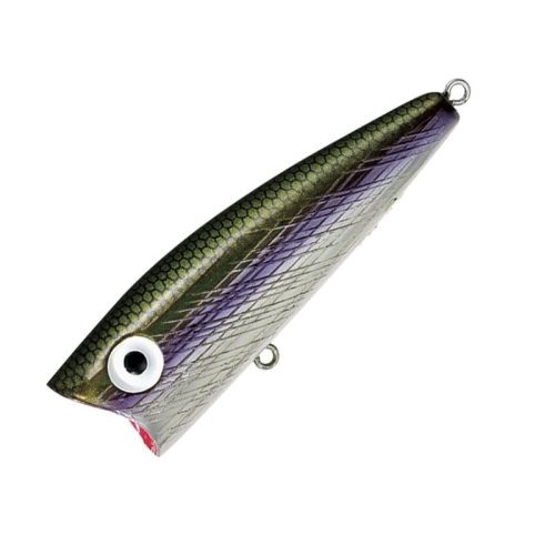 レーベル(REBEL) ポップR P60