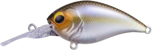 ペイフォワード(Pay Forward) ワンエイト MR