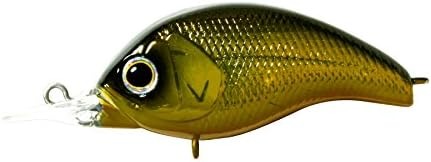 デプス(deps) コリガン MR