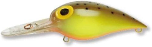 ストーム(STORM) ウイグルワート