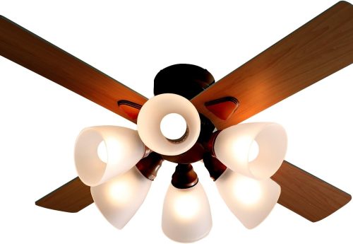 ロウヤ(LOWYA) シーリングファンライト FC03_G1019_1000BQ