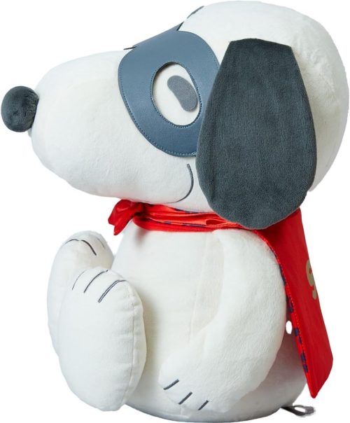 ミズノ(MOZUNO) PEANUTS スヌーピーメディシンボール ウェアグラースィズ C3JHIB06