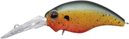 エバーグリーン(EVERGREEN) ワイルドハンチ