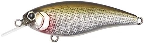 ボトムアップ(Bottomup) リズィー