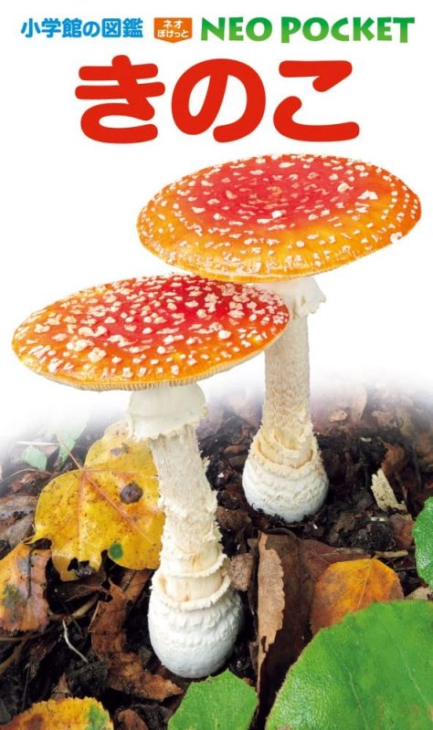 小学館 小学館の図鑑NEO POCKET きのこ