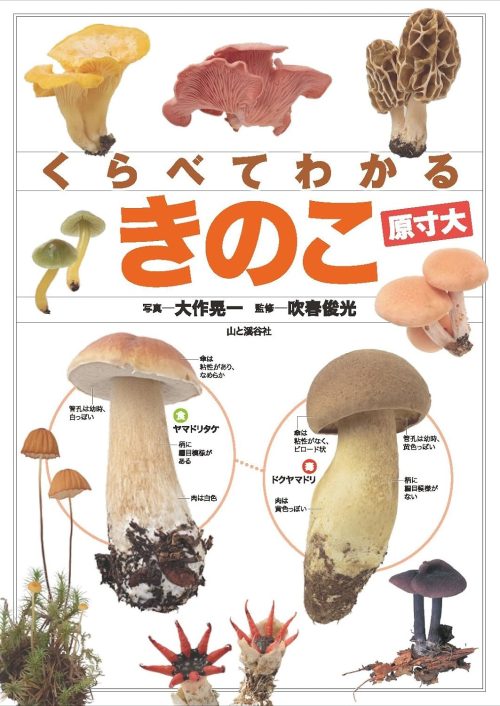 山と渓谷社 くらべてわかる きのこ 原寸大