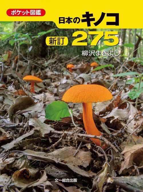 文一総合出版 ポケット図鑑 新訂 日本のキノコ275