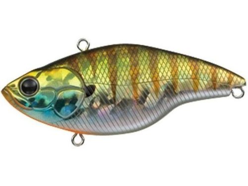 エバーグリーン(EVERGREEN) ブザービーター