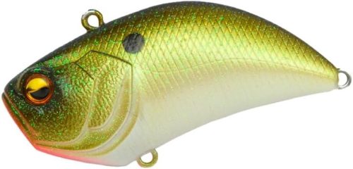 レイドジャパン(RAID JAPAN) レベルバイブ