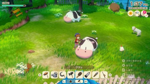 牧場物語 Let’s!風のグランドバザール - マーベラス