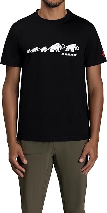 マムート(MAMMUT) QD ロゴ プリント Tシャツ アジアンフィット