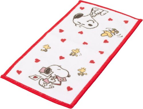 西川(nishikawa) 眼鏡クリーナータオル PN2636TW