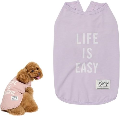 LIFELIKE ICEライフイズタンク