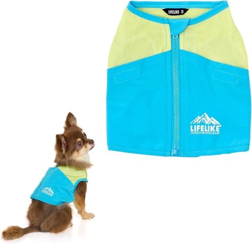 LIFELIKE ICEビタミンカラーベスト