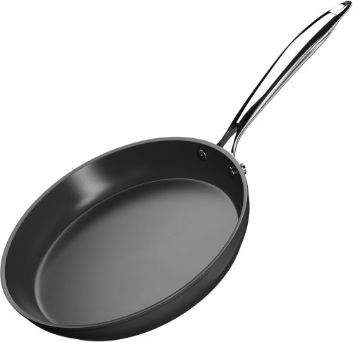 Fijinhom フライパン 20cm KI-001