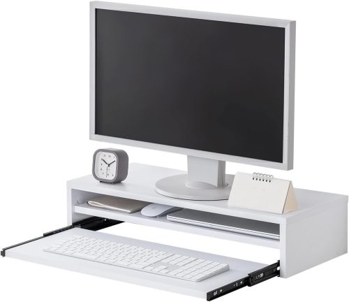 サンワサプライ(SANWA SUPPLY) 2段式モニター台 100-MR216