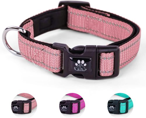 NESTROAD 犬首輪 NED-DC