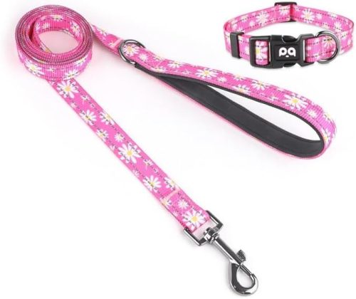 Homie Pettie 犬用光る首輪 リードセット HPLO003