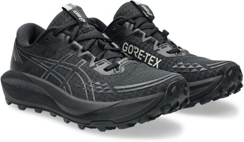 アシックス(Asics) GEL-Trabuco 13 GTX