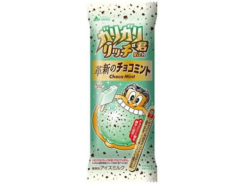 赤城乳業(AKAGI) ガリガリ君リッチ 革新のチョコミント