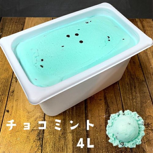 スノーラグーンアイスクリーム(Snow Lagoon Ice Cream) ミントチョコ