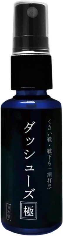 ラピスジャパン(LAPIS JAPAN) ダッシューズ極