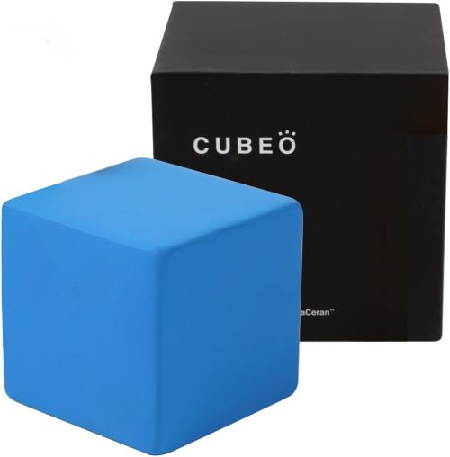 洗車の王国 置き型消臭剤 キュベオ