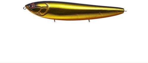 エバーグリーン(EVERGREEN) アマゾン