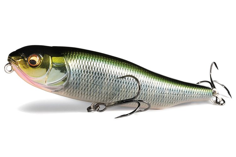 釣りのイメージ