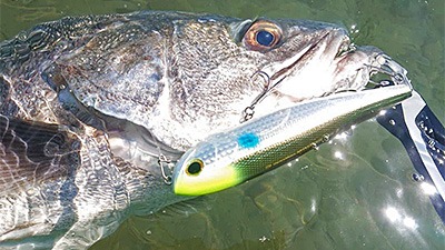 釣りのイメージ