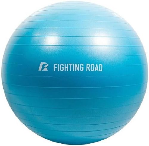 ファイティングロード(FIGHTING ROAD) ジムボール 55cm FR23CMS0048