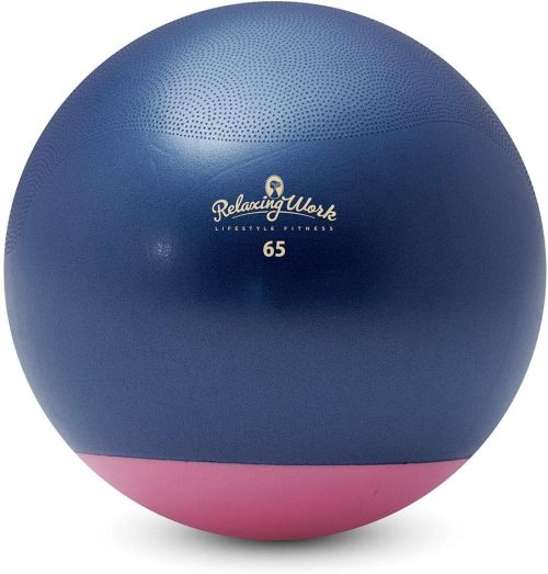 HATACHI ジムボールStayPlus 65cm NH3621