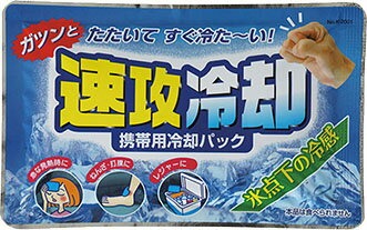 紀陽除虫菊 速攻冷却 携帯用冷却パック K-2001