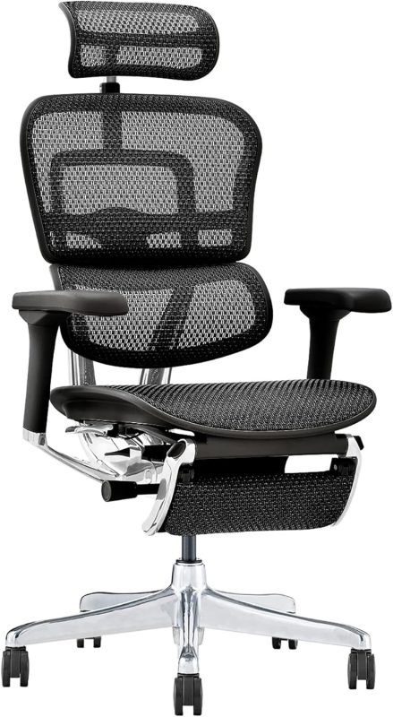 エルゴヒューマン(Ergohuman) プロ2 オットマン