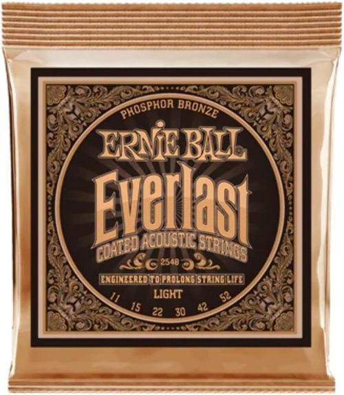アーニー・ボール(ERNIE BALL) EVERLAST COATED PHOSPHOR BRONZE LIGHT 2548