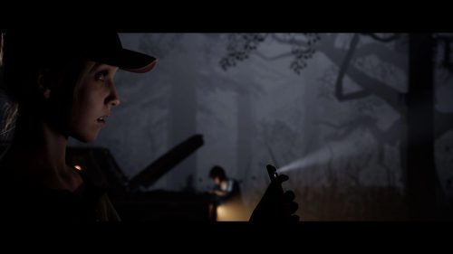 第12位 クアリー ~悪夢のサマーキャンプ【CERO Z】 - Take-Two Interactive