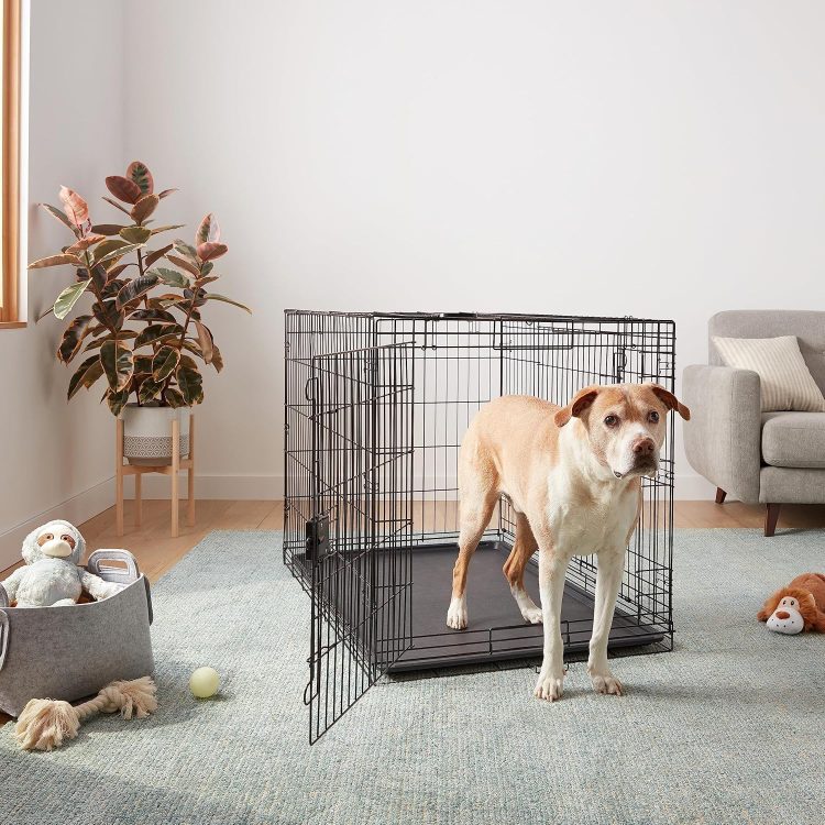 犬用品のイメージ