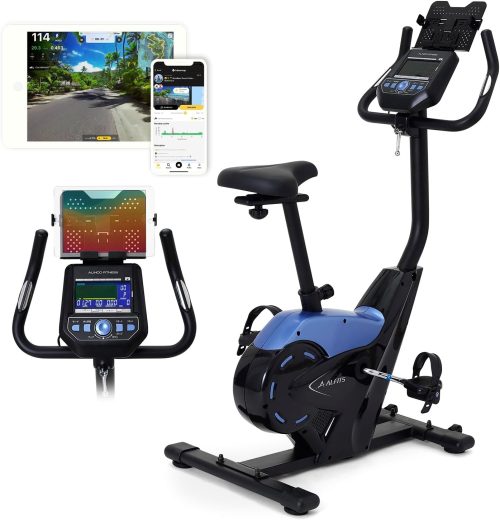 アルインコ(ALINCO) プログラムバイク6119 AFB6119