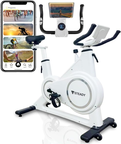ステディ(STEADY) スピンバイクPlus ST145
