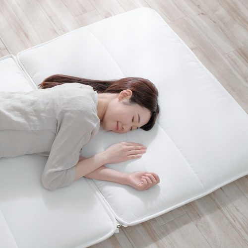 アイリスオーヤマ(IRIS OHYAMA) 洗える敷き布団 洗濯ネット付 SKF-WB05-SN