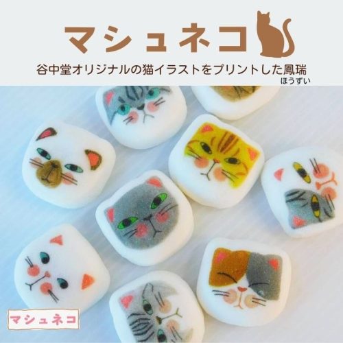 谷中堂 和風マシュマロ マシュネコ