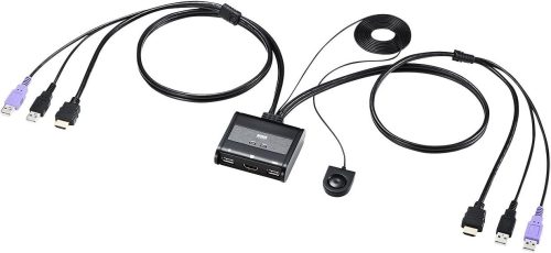 サンワサプライ(SANWA SUPPLY) HDMI対応手元スイッチ付きパソコン自動切替器 SW-KVM2WHU