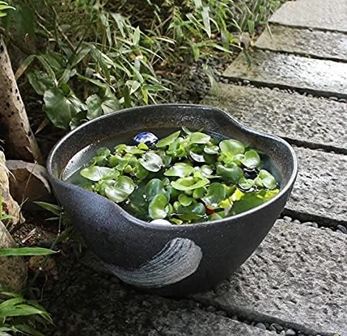 まるいち本店 14号ハケ目二方曲げ水鉢 信楽焼 su-0148