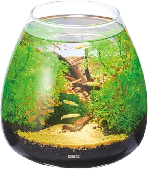 ジェックス グラスアクア ティアー